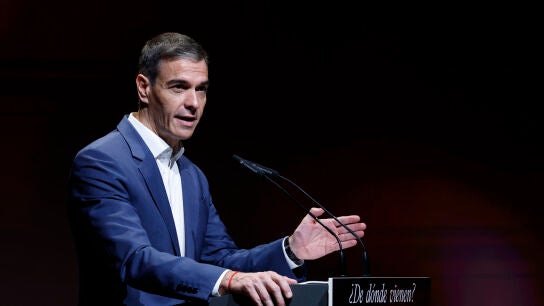 Imagen del presidente del Gobierno Pedro S&aacute;nchez