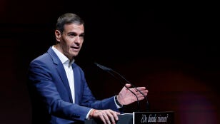 Imagen del presidente del Gobierno Pedro S&aacute;nchez