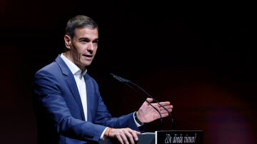 Imagen del presidente del Gobierno Pedro S&aacute;nchez