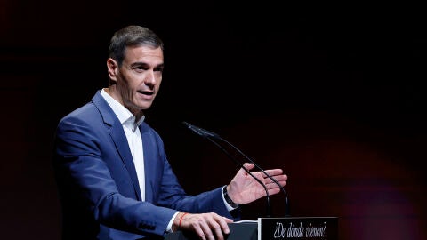 Imagen del presidente del Gobierno Pedro S&aacute;nchez