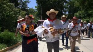 Boda con un caim&aacute;n.