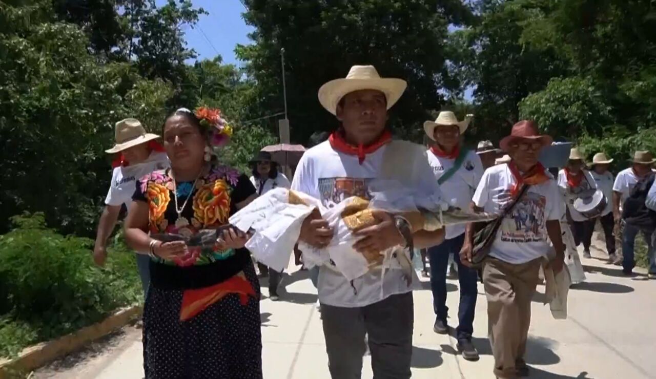 Boda con un caim&aacute;n.