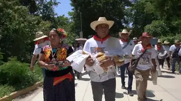 Boda con un caimán. Boda con un caimán.