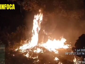 V&iacute;deo del incendio de Santa Elena, en Ja&eacute;n