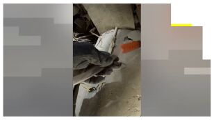 Rescate Hern&aacute;n