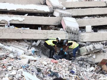 Venezuela terremoto