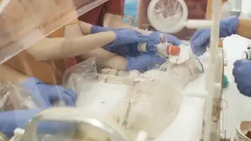 Incubadora Incubadora