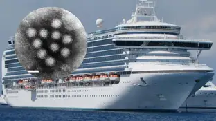 Imagen del crucero y del norovirus. Imagen del crucero y del norovirus.