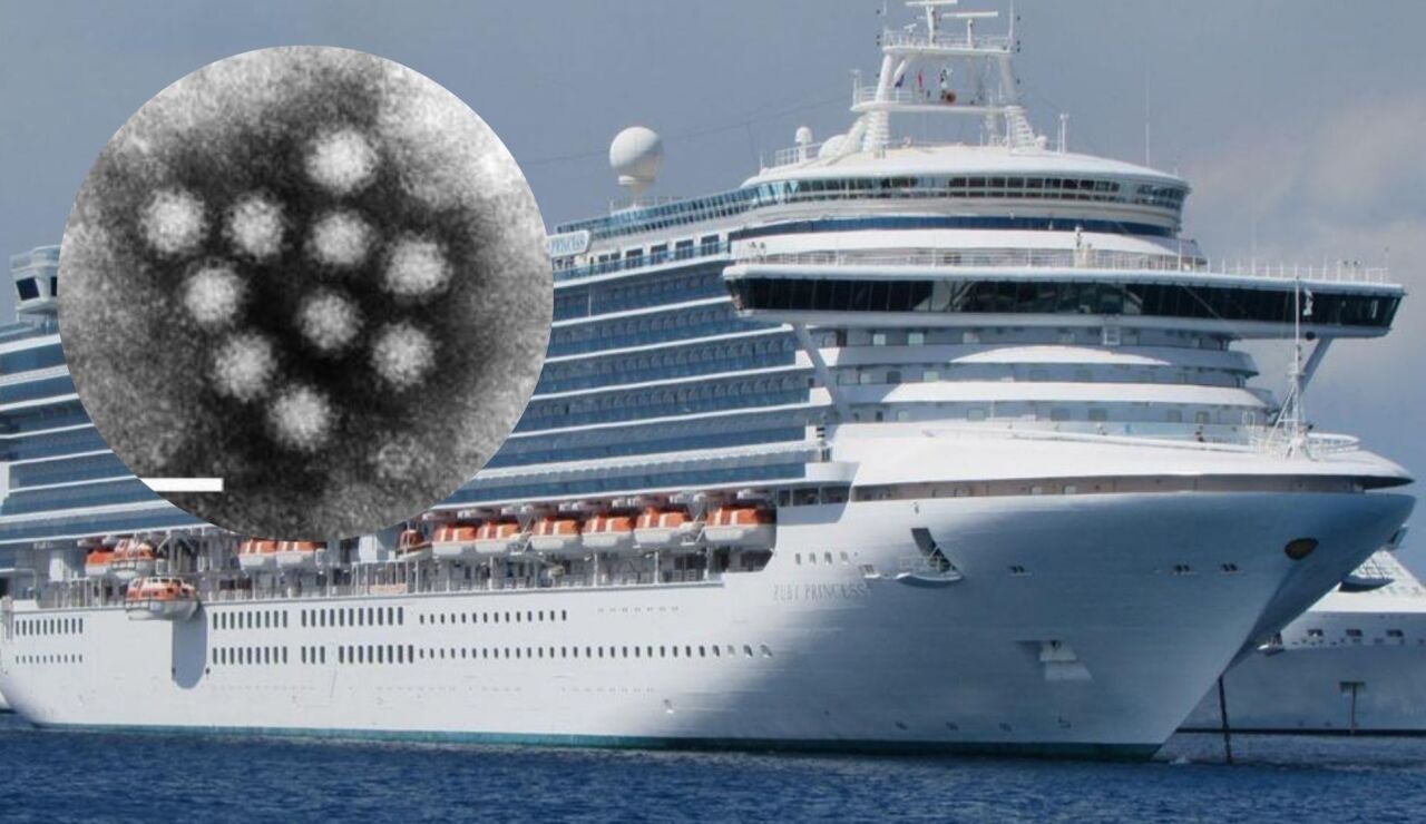 Imagen del crucero y del norovirus.