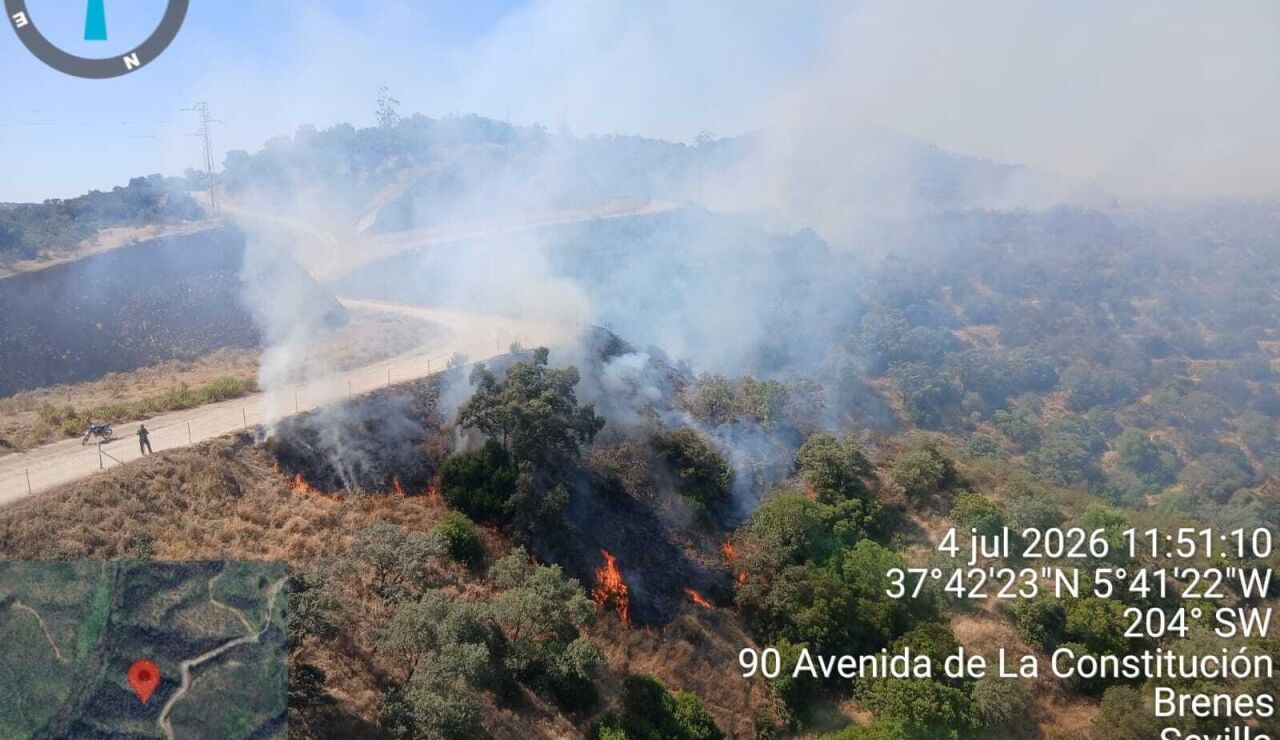 Incendio forestal declarado en el t&eacute;rmino municipal de Villanueva del R&iacute;o y Minas (Sevilla) este s&aacute;bado 4.