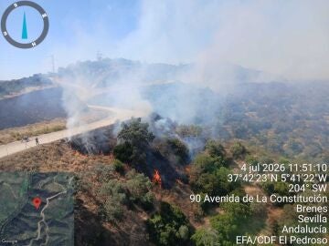 Incendio forestal declarado en el t&eacute;rmino municipal de Villanueva del R&iacute;o y Minas (Sevilla) este s&aacute;bado 4.