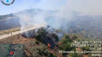 Incendio forestal declarado en el término municipal de Villanueva del Río y Minas (Sevilla) este sábado 4. Incendio forestal declarado en el término municipal de Villanueva del Río y Minas (Sevilla) este sábado 4.