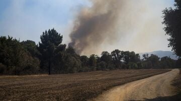 El incendio de la Bisbal (Girona) sigue estabilizado pero los Bombers prev&eacute;n un d&iacute;a "complicado"