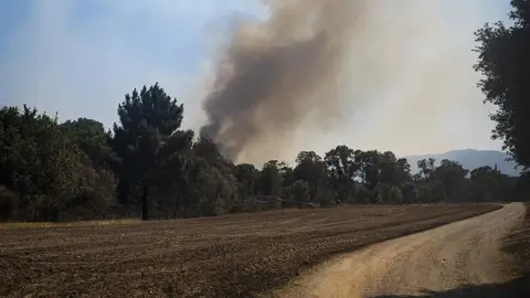 El incendio de la Bisbal (Girona) sigue estabilizado pero los Bombers prevén un día "complicado" El incendio de la Bisbal (Girona) sigue estabilizado pero los Bombers prevén un día "complicado"