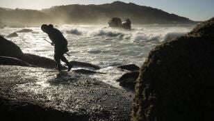 Imagen de percebeiros trabajando 