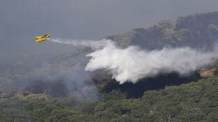  Sanz se&ntilde;ala que el incendio de Grazalema es "complejo" por viento e influencia topogr&aacute;fica
