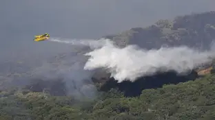 Sanz señala que el incendio de Grazalema es "complejo" por viento e influencia topográfica Sanz señala que el incendio de Grazalema es "complejo" por viento e influencia topográfica