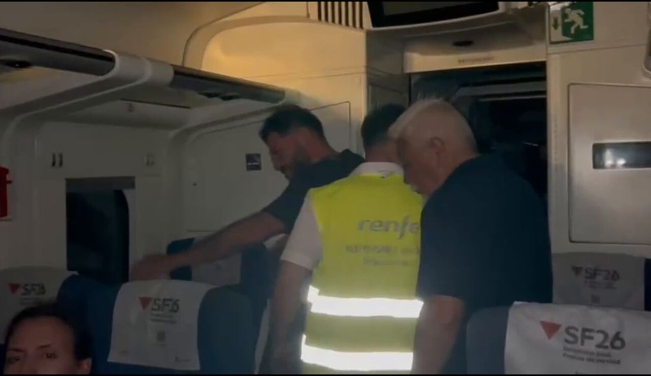 Imagen del tren afectado por la ca&iacute;da de un rayo
