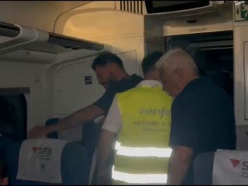 Imagen del tren afectado por la ca&iacute;da de un rayo