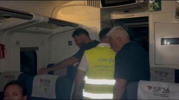 Imagen del tren afectado por la ca&iacute;da de un rayo