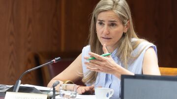 La Vicepresidenta Tercera del Gobierno y Ministra de Transici&oacute;n Ecol&oacute;gica, Sara Aagesen