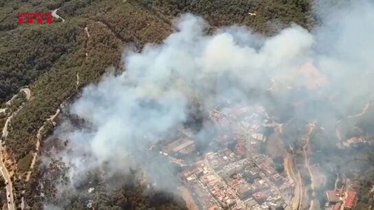 Incendios forestales