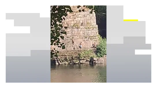 El peligroso salto al río que se ha puesto de moda entre los jóvenes en Ourense El peligroso salto al río que se ha puesto de moda entre los jóvenes en Ourense