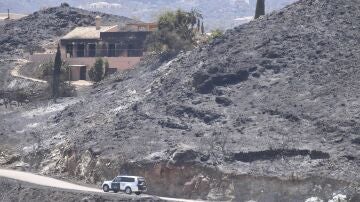  Asociaciones acopian piensos, mantas y &uacute;tiles para animales afectados en el incendio de Los Gallardos