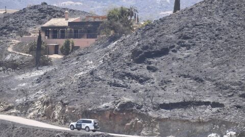  Asociaciones acopian piensos, mantas y &uacute;tiles para animales afectados en el incendio de Los Gallardos