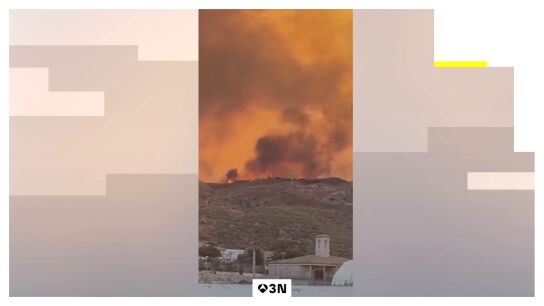 ¿Cómo actuar en caso de un incendio forestal?