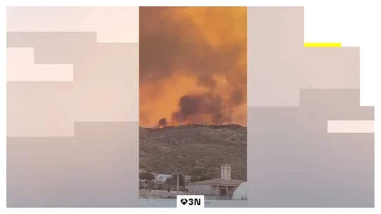 ¿Cómo actuar en caso de un incendio forestal? ¿Cómo actuar en caso de un incendio forestal?