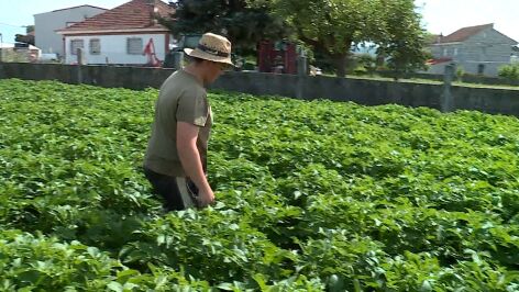 Abel Sotelo, agricultor de 22 a&ntilde;os: &ldquo;Empezar de cero hoy en el campo es muy dif&iacute;cil&rdquo;