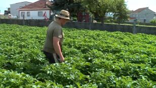 Abel Sotelo, agricultor de 22 a&ntilde;os: &ldquo;Empezar de cero hoy en el campo es muy dif&iacute;cil&rdquo;