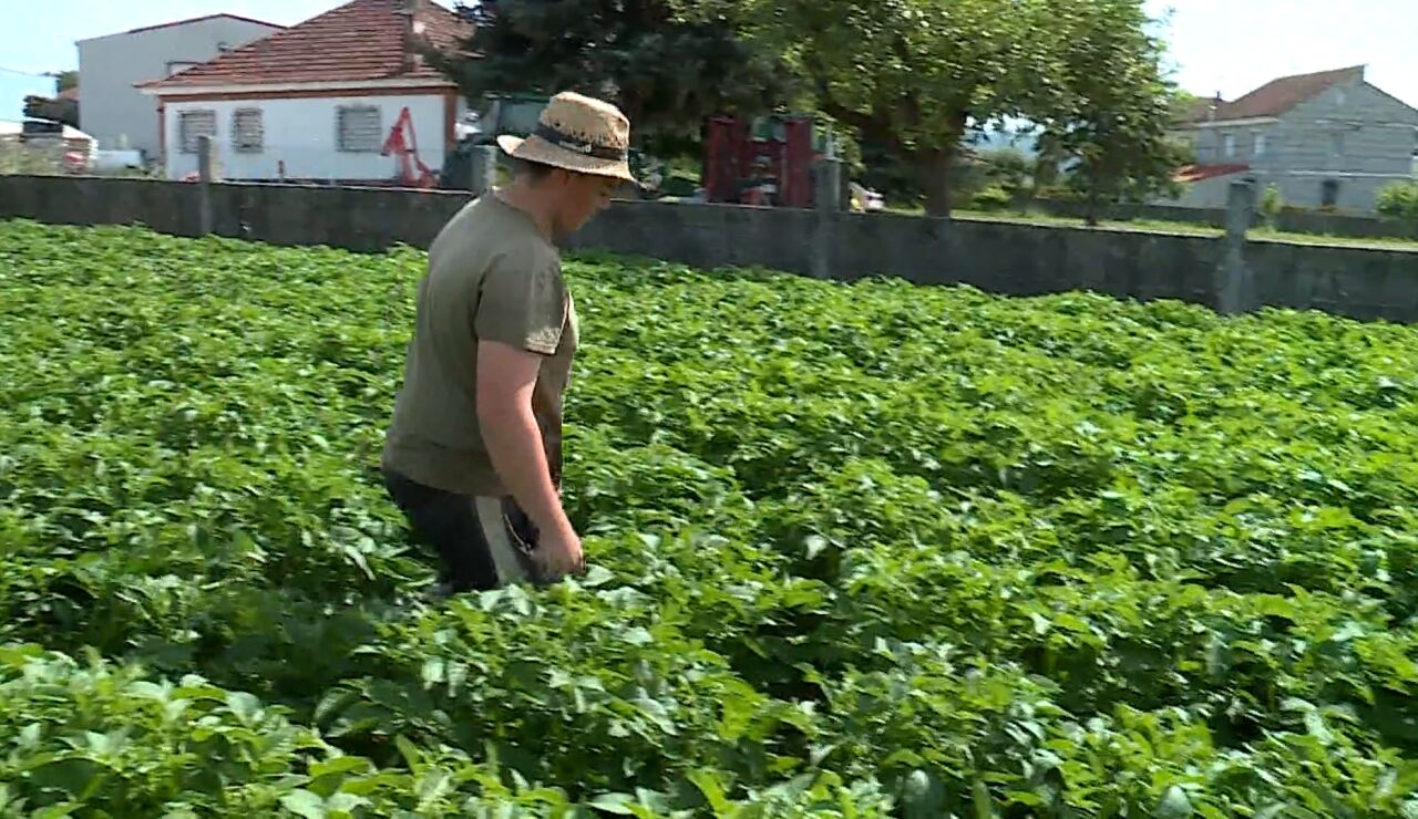 Abel Sotelo, agricultor de 22 a&ntilde;os: &ldquo;Empezar de cero hoy en el campo es muy dif&iacute;cil&rdquo;