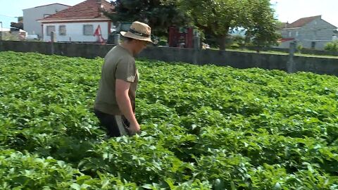 Abel Sotelo, agricultor de 22 a&ntilde;os: &ldquo;Empezar de cero hoy en el campo es muy dif&iacute;cil&rdquo;