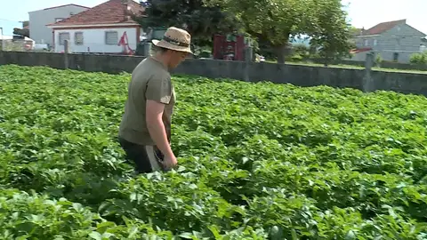 Abel Sotelo, agricultor de 22 años: “Empezar de cero hoy en el campo es muy difícil” Abel Sotelo, agricultor de 22 años: “Empezar de cero hoy en el campo es muy difícil”