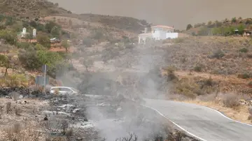 Incendio en Los Gallardos (Almería) Incendio en Los Gallardos (Almería)