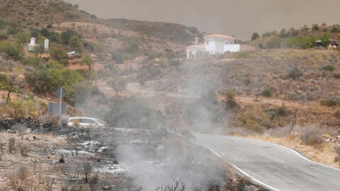 Terrenos calcinados por el incendio forestal, a 10 de julio de 2026, en Los Gallardos, Almer&iacute;a, Andaluc&iacute;a (Espa&ntilde;a). El incendio forestal declarado este jueves, 9 de julio, en la localidad almeriense de Los Gallardos deja once fallecidos y ocho heridos, cuatro de ellos graves, seg&uacute;n la &uacute;ltima actualizaci&oacute;n que se&ntilde;ala que siguen trabajando para analizar si puede haber m&aacute;s v&iacute;ctimas ya que por el momento hay 19 desaparecidos. Adem&aacute;s, unos 200 efectivos de la Unidad Militar de Emergencias (UME) se...