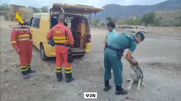 La protectora de animales 'furia' rescata a un perro herido de los incendios de Almería La protectora de animales 'furia' rescata a un perro herido de los incendios de Almería