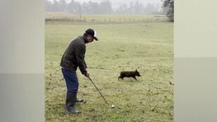 La Liga Campesina de Golf en Chile