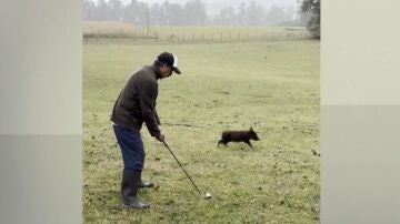 La Liga Campesina de Golf en Chile