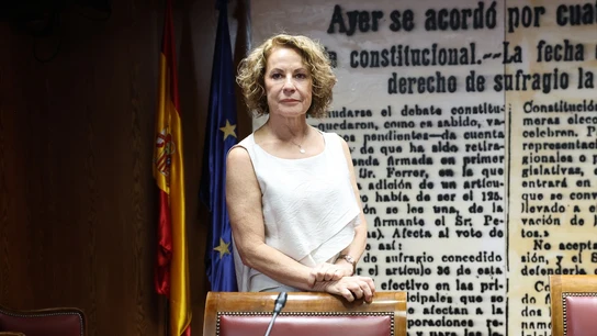 Soledad Fernández Doctor, la exdirectora de la Agencia Tributaria, compareciendo en el Senado Soledad Fernández Doctor, la exdirectora de la Agencia Tributaria, compareciendo en el Senado