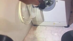 Ins&oacute;lita intervenci&oacute;n en Lugo: un polic&iacute;a local recupera una serpiente de una lavadora