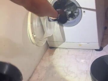 Ins&oacute;lita intervenci&oacute;n en Lugo: un polic&iacute;a local recupera una serpiente de una lavadora