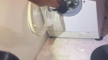 Ins&oacute;lita intervenci&oacute;n en Lugo: un polic&iacute;a local recupera una serpiente de una lavadora