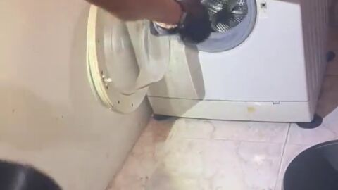 Ins&oacute;lita intervenci&oacute;n en Lugo: un polic&iacute;a local recupera una serpiente de una lavadora