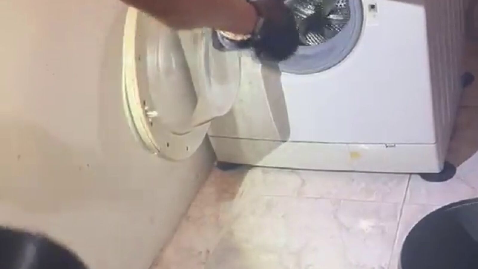 Insólita intervención en Lugo: un policía local recupera una serpiente de una lavadora