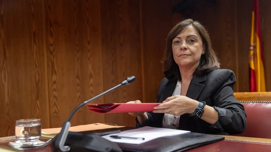 Imagen de la gerente del PSOE, Ana María Fuentes Imagen de la gerente del PSOE, Ana María Fuentes
