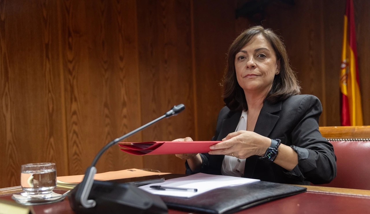 Imagen de la gerente del PSOE, Ana María Fuentes