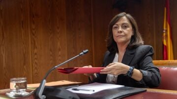 Imagen de la gerente del PSOE, Ana Mar&iacute;a Fuentes 